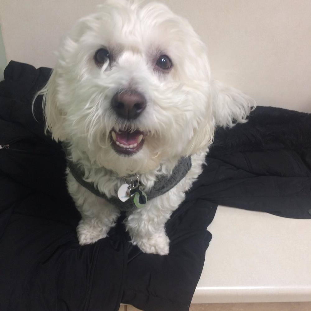 Meet your Posher, Denise